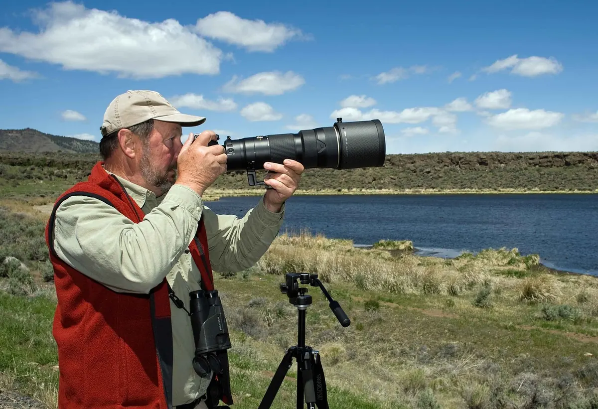 10 Common Bird Identification Mistakes Beginners Make in the UK