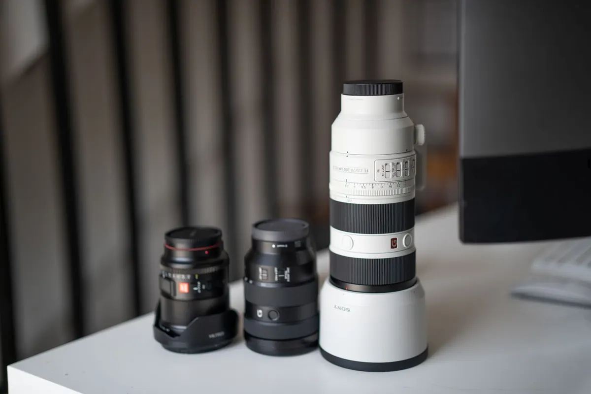 Camera Settings for Bird Photography: A Beginner's Cheat Sheet
